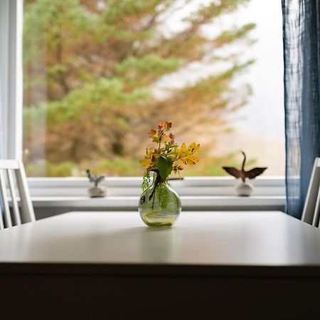 Cozy House By The Fjord In The Heart Of Lofoten راين المظهر الخارجي الصورة